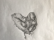 IMG_1171.png