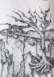 IMG_1169.png