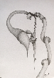 IMG_1175.png