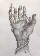 IMG_1167.png