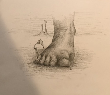 IMG_1219.png